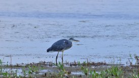 2022 13 en 22 juli 148